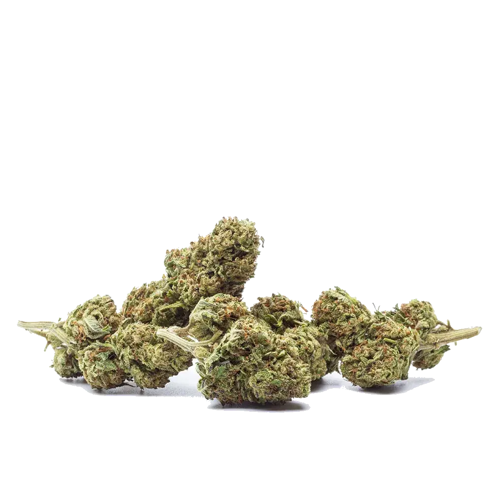 Durban Poison - miniature 3