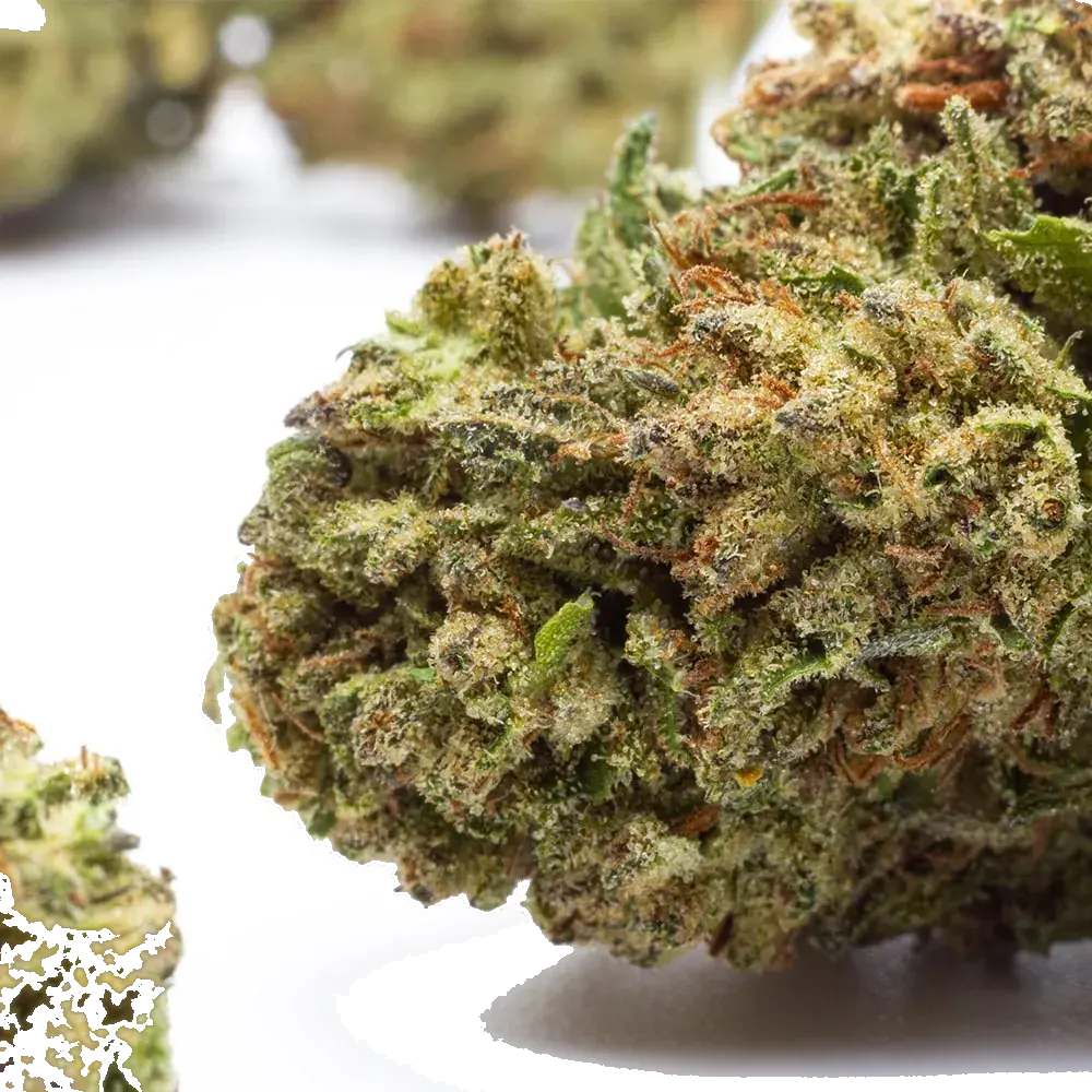 Durban Poison - miniature 4