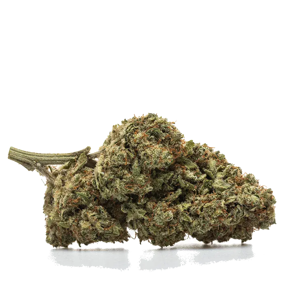 Forbidden Fruit - miniature 2