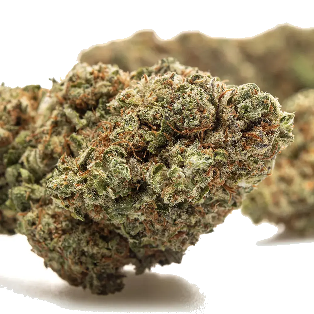 Forbidden Fruit - miniature 3