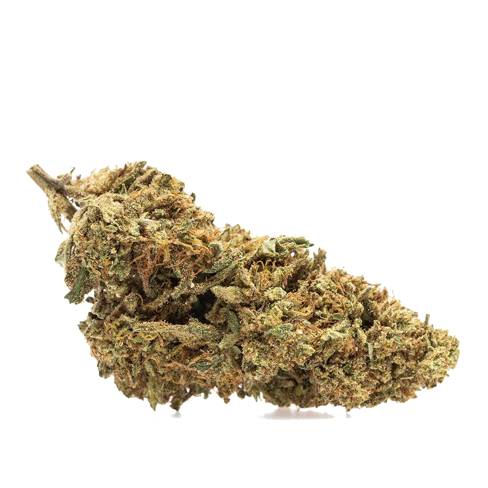 Guava Kush - miniature 2