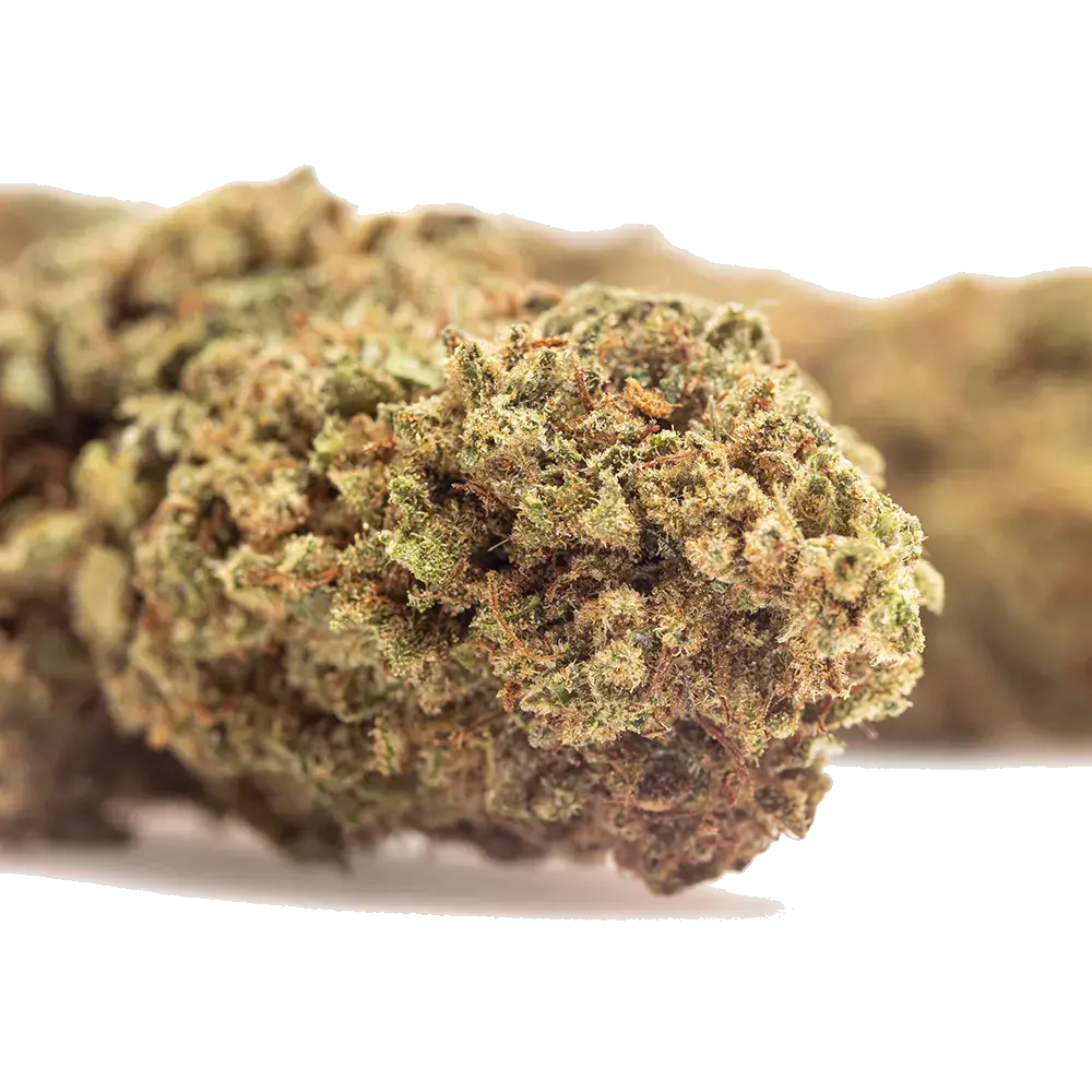 Guava Kush - miniature 4