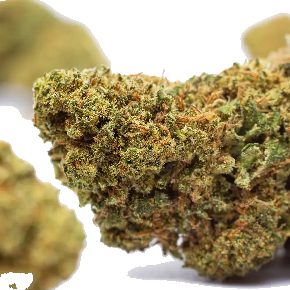 Confidential Weed - miniature 4
