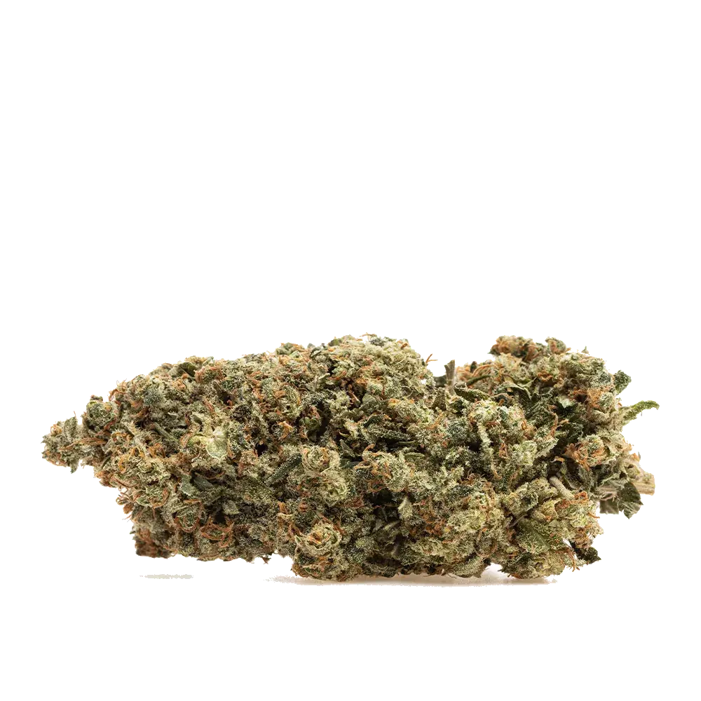 Lemon Cookies - miniature 2