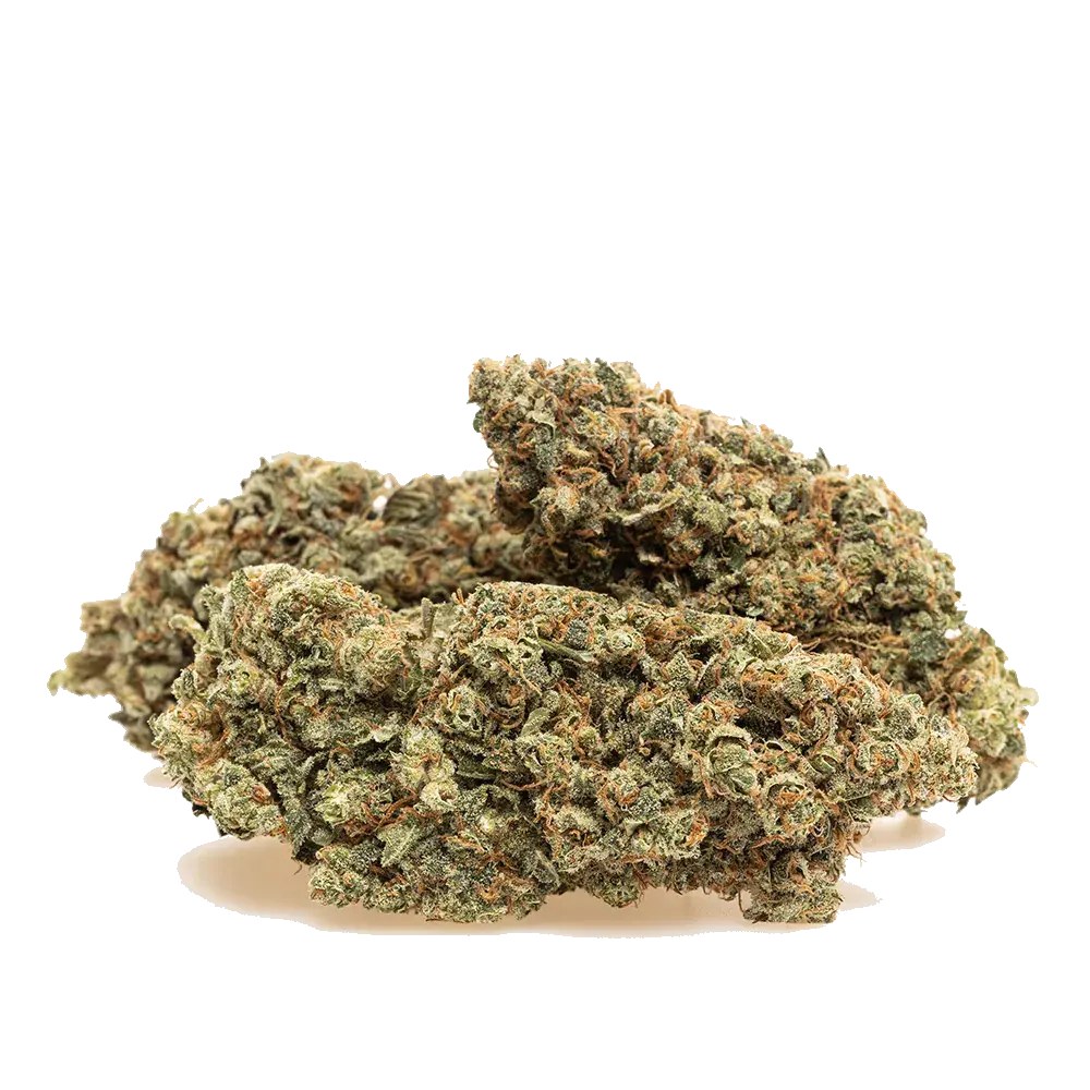 Lemon Cookies - miniature 3