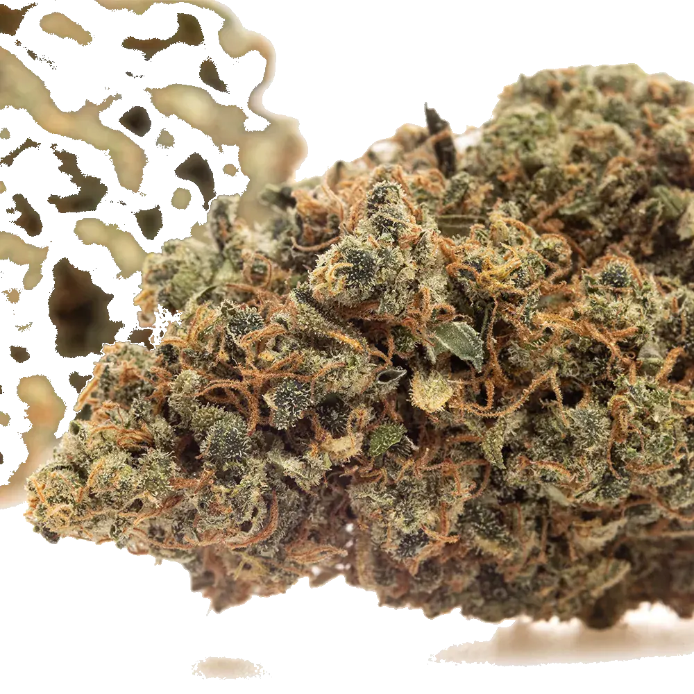 Lemon Cookies - miniature 4