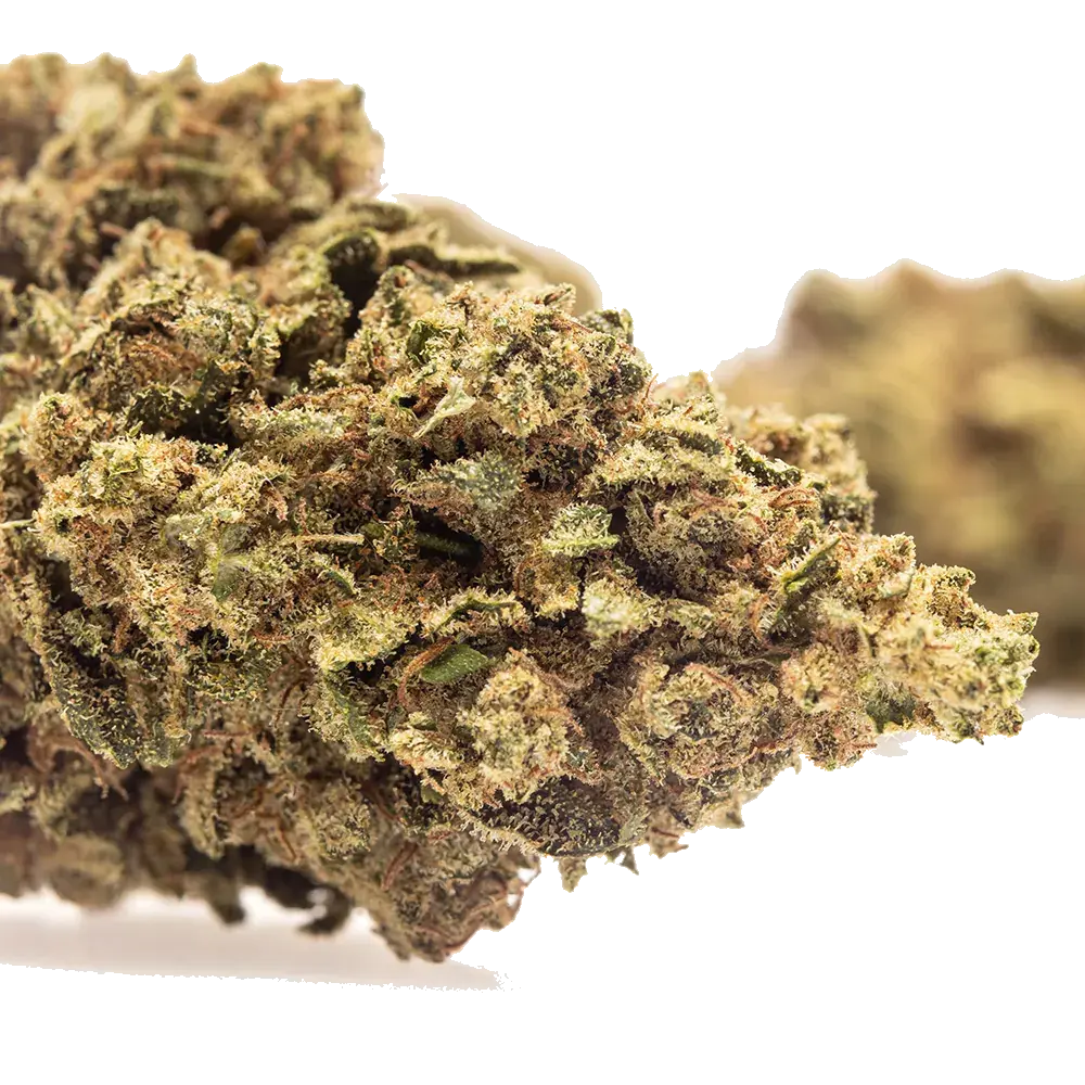 Lemon Kush - miniature 4