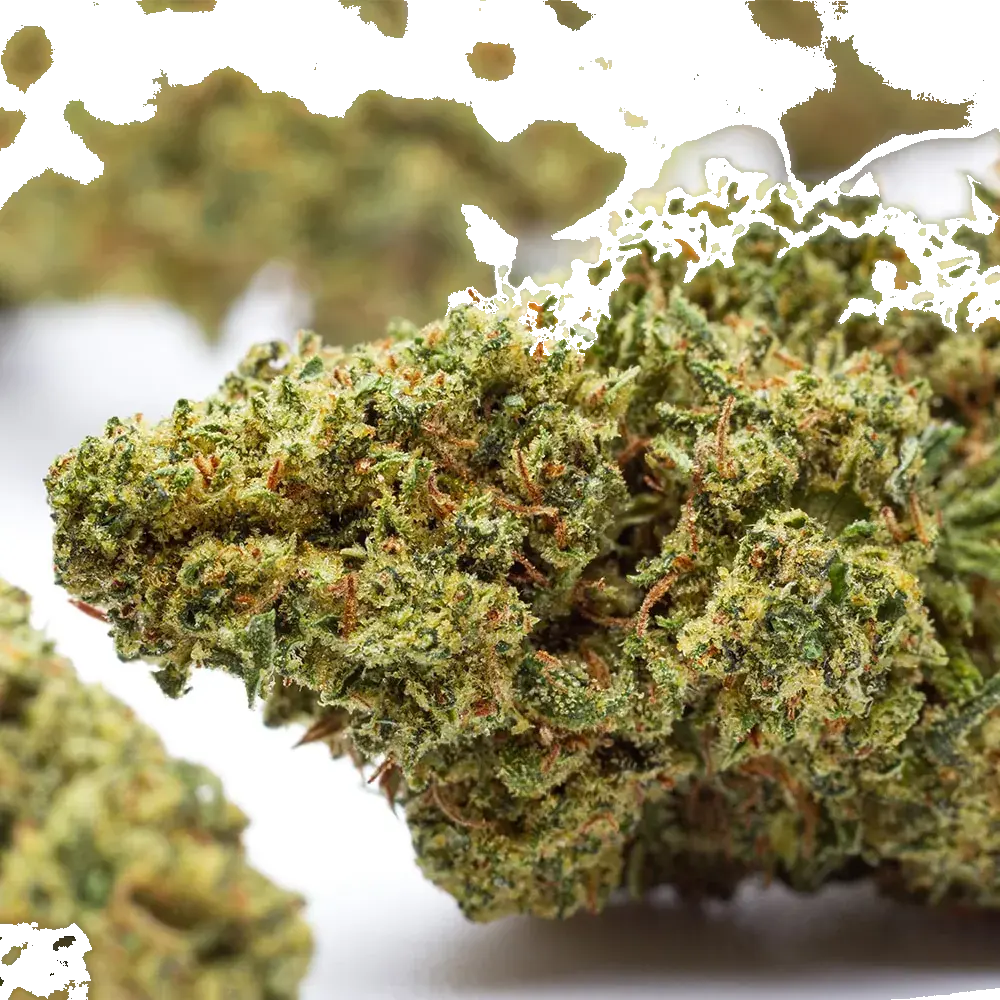 Lemon Soda - miniature 4