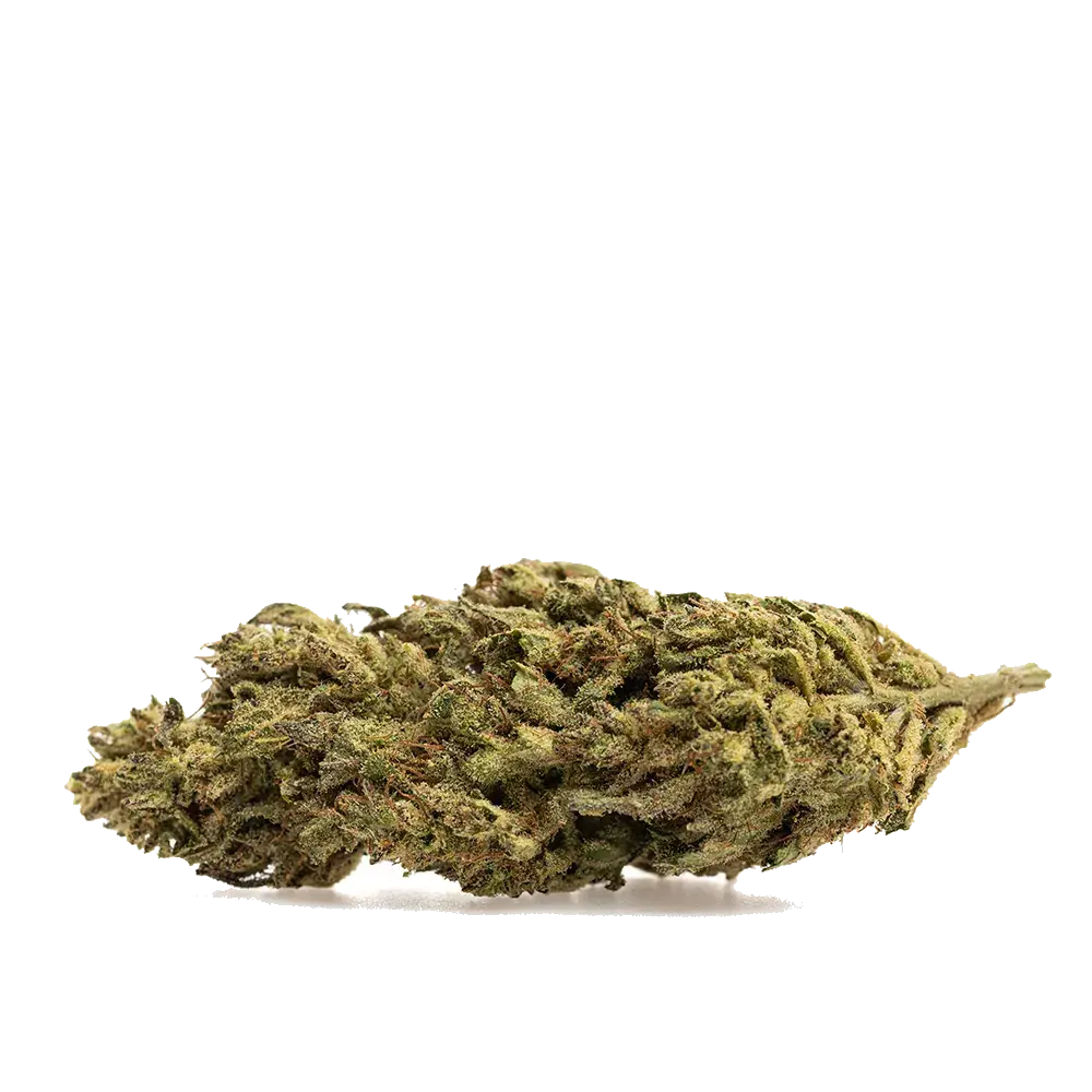 Lemon Zest - miniature 2