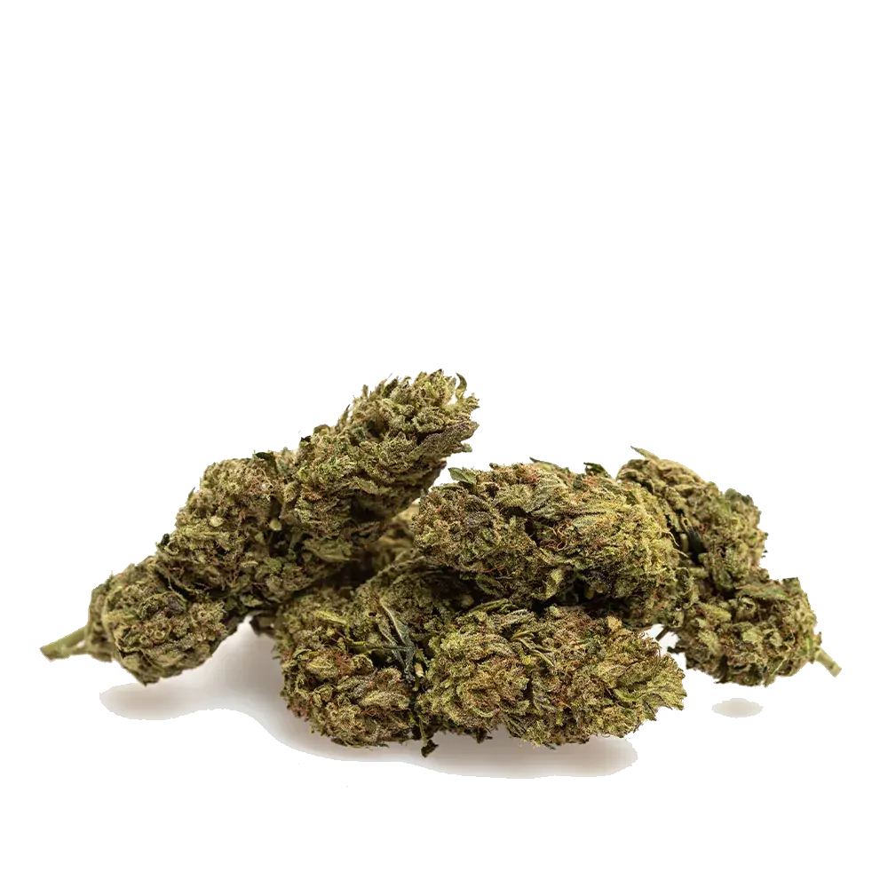 Lemon Zest - miniature 3