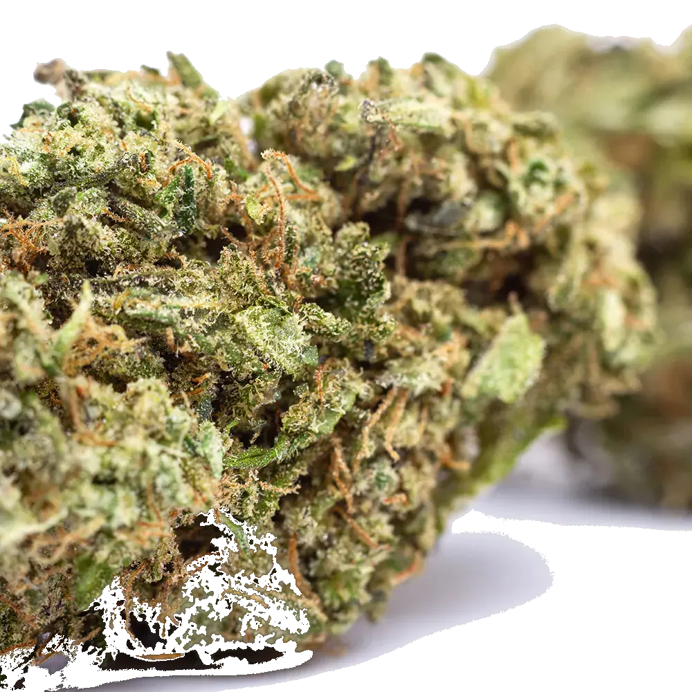 Mango Zkittlez - miniature 2