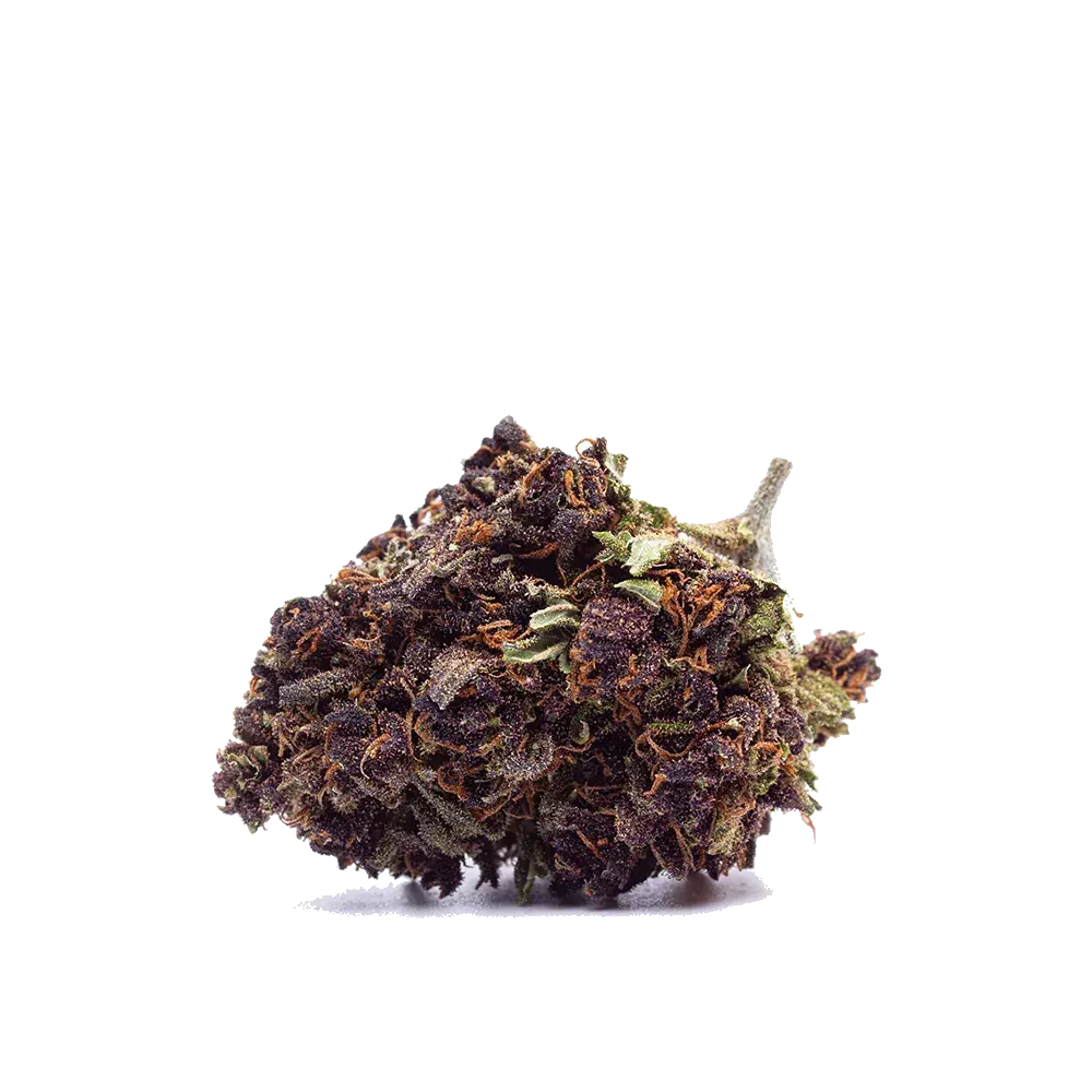 Purple Haze - miniature 4