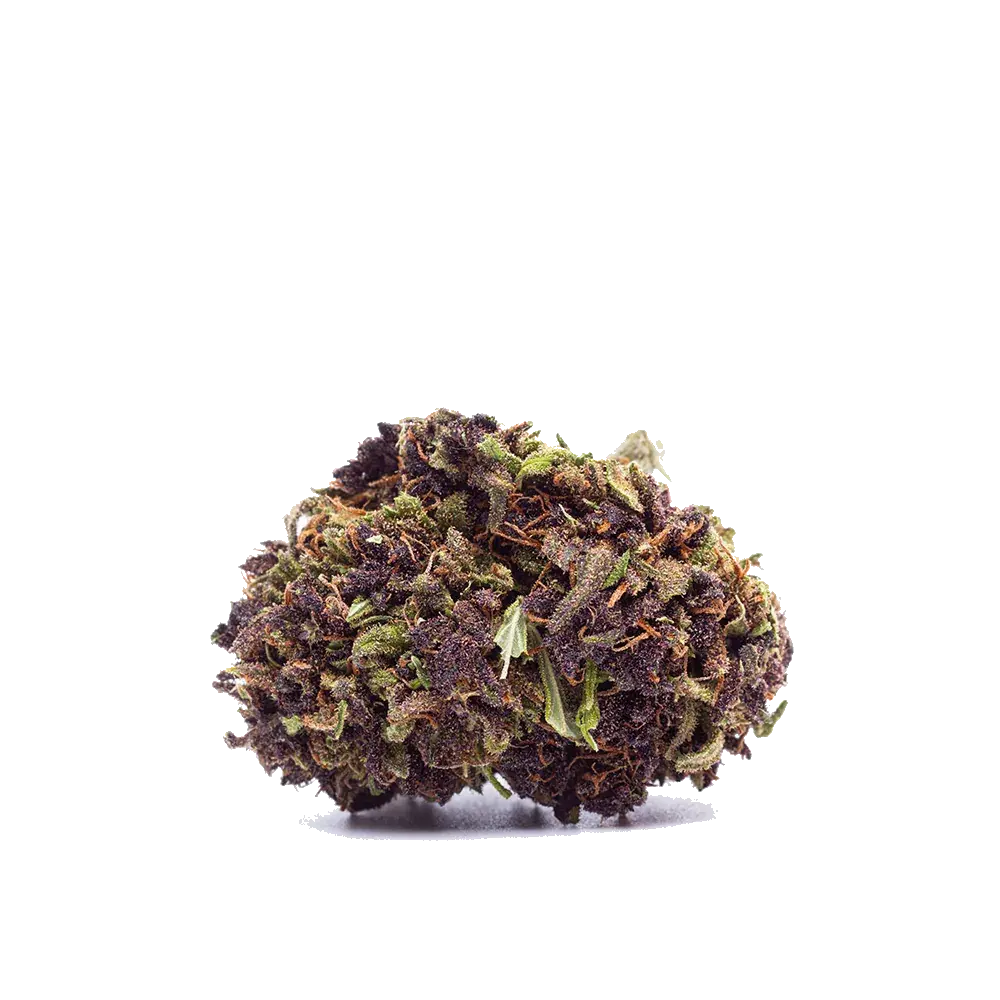 Purple Haze - miniature 3