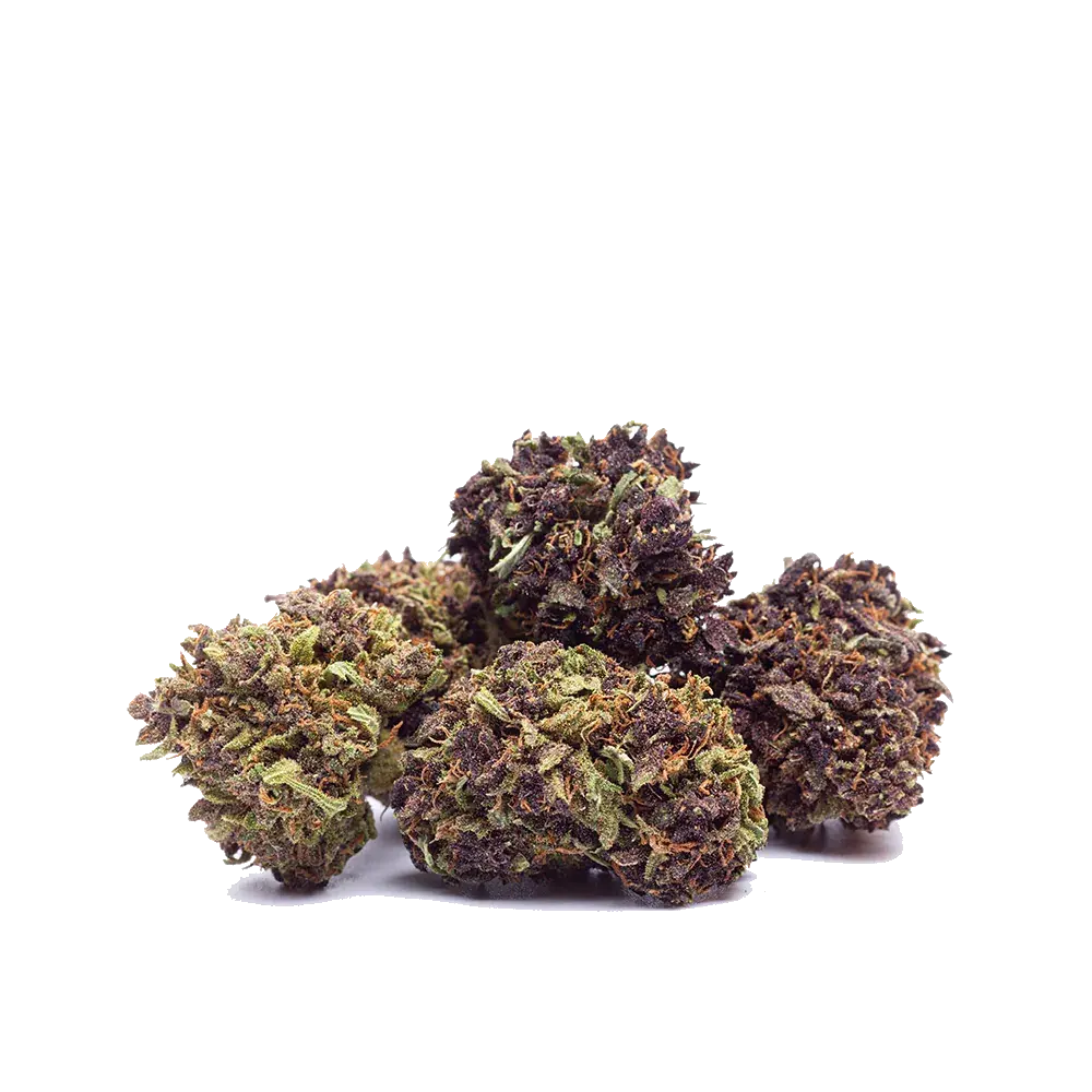 Purple Haze - miniature 1