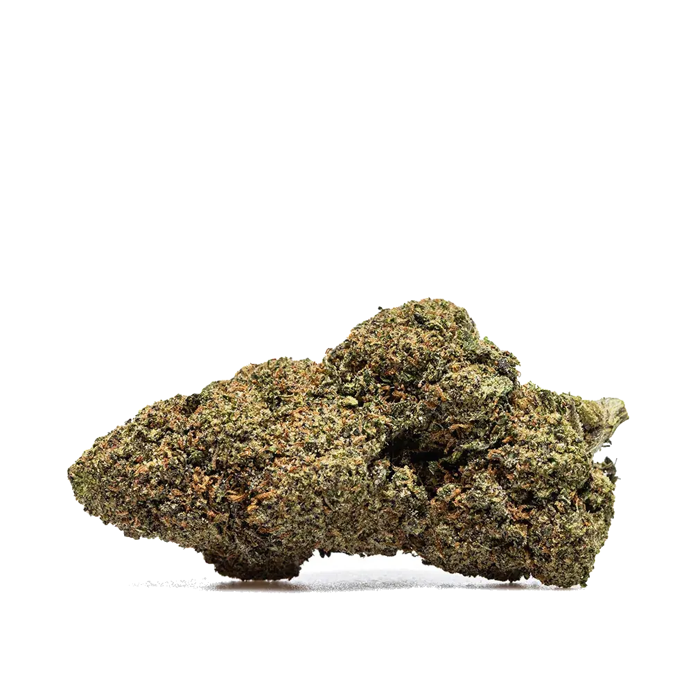 Runtz Usa - miniature 2