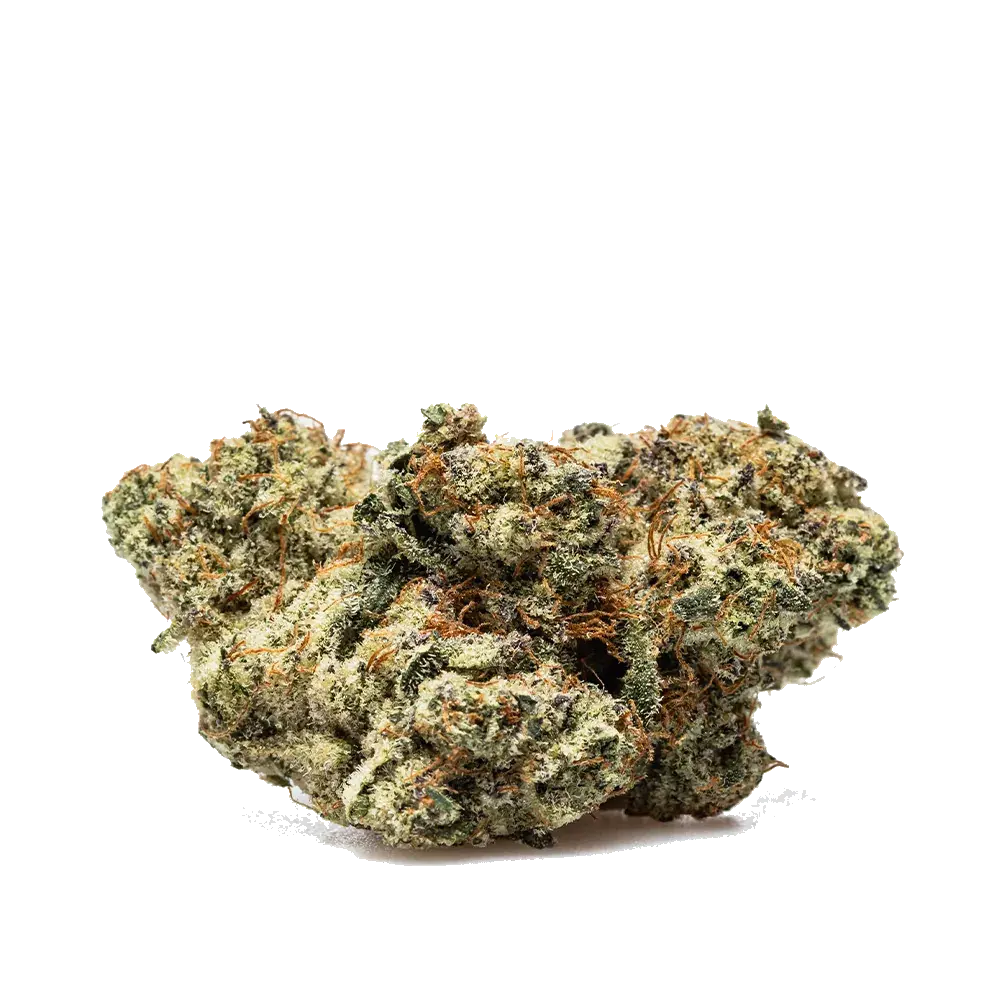 Strawberry Payton's Usa, fleur