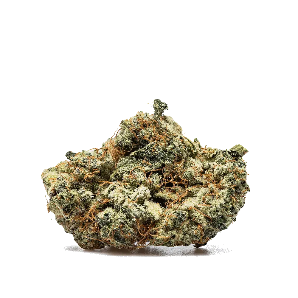 Strawberry Payton's Usa - miniature 2