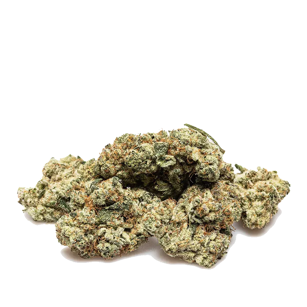 Strawberry Payton's Usa - miniature 3