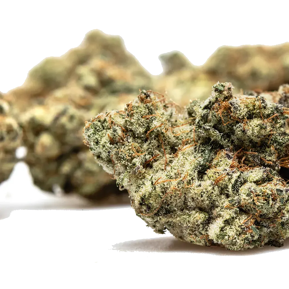 Strawberry Payton's Usa - miniature 4