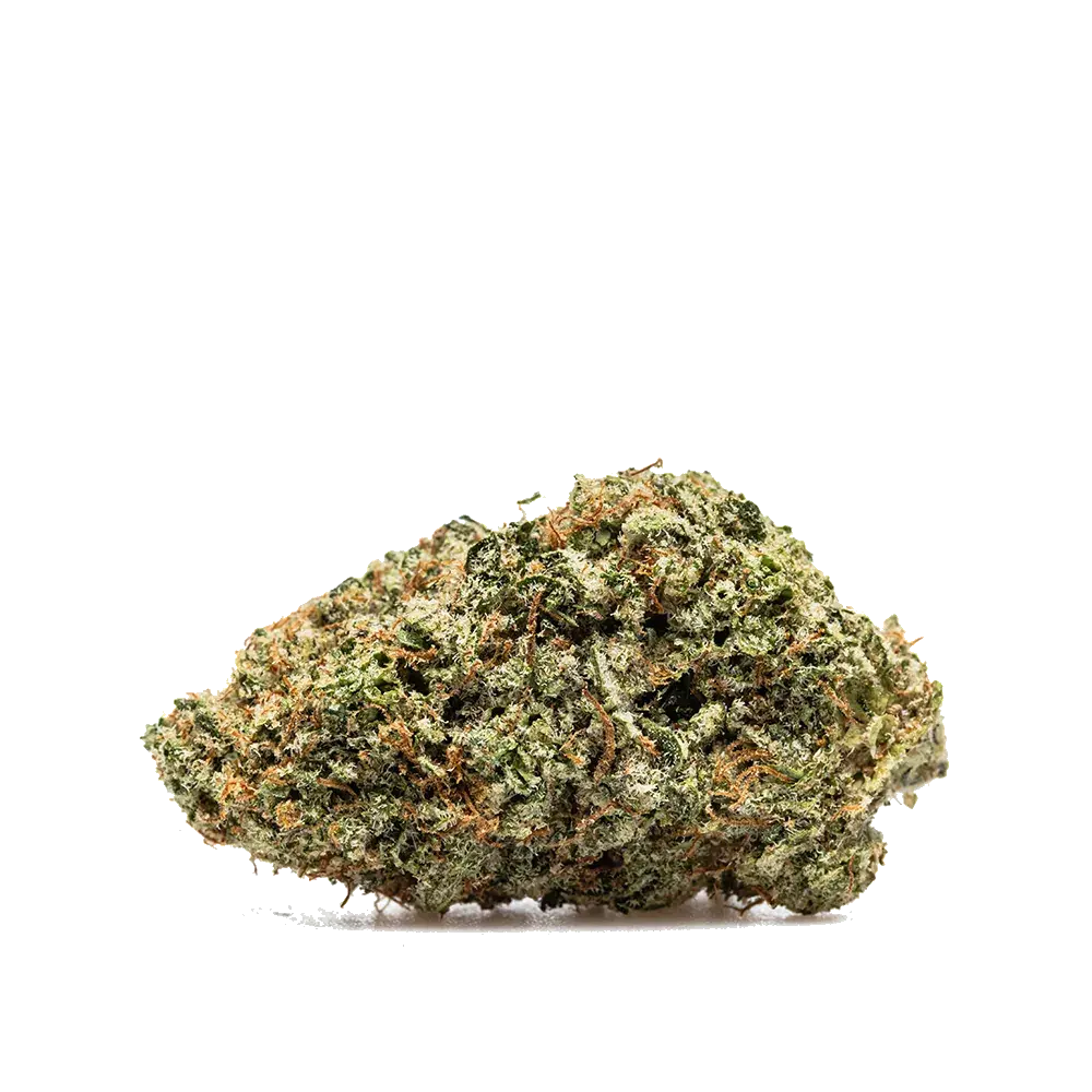 Super Boof - miniature 2