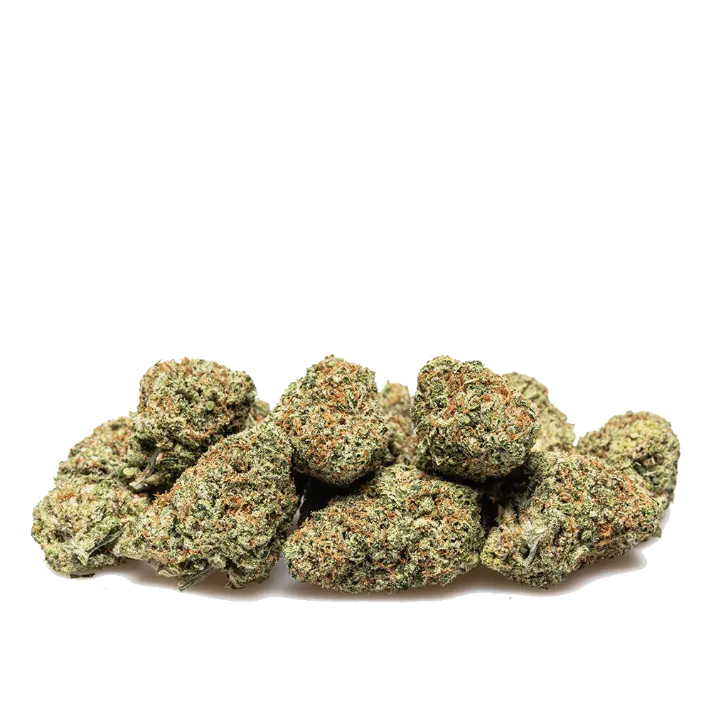 Super Boof - miniature 3