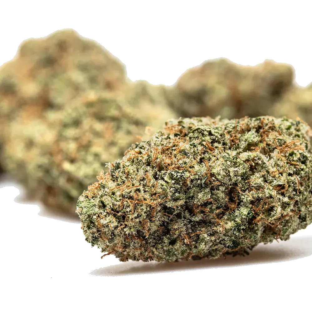 Super Boof - miniature 4