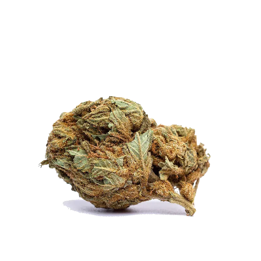 White Widow - miniature 2