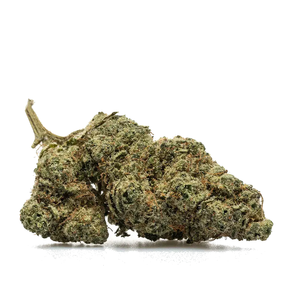 Zushi - miniature 2