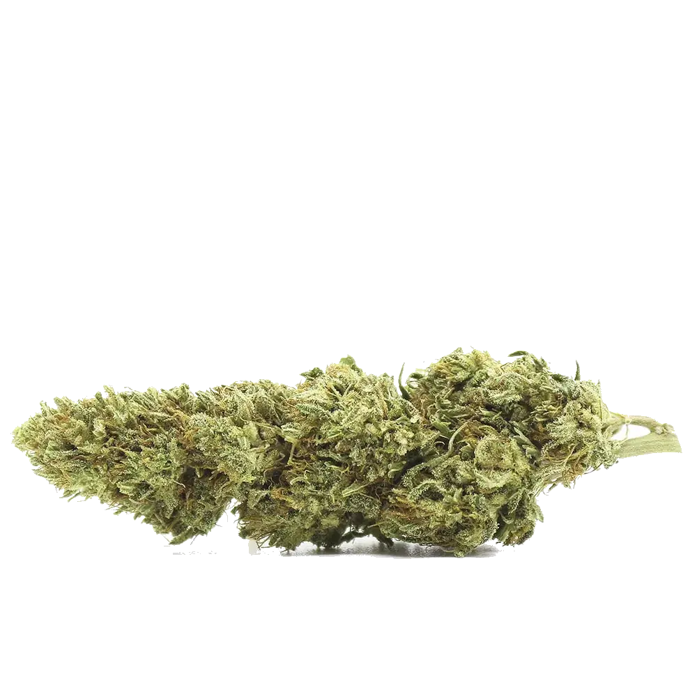 Lemon Haze - miniature 2