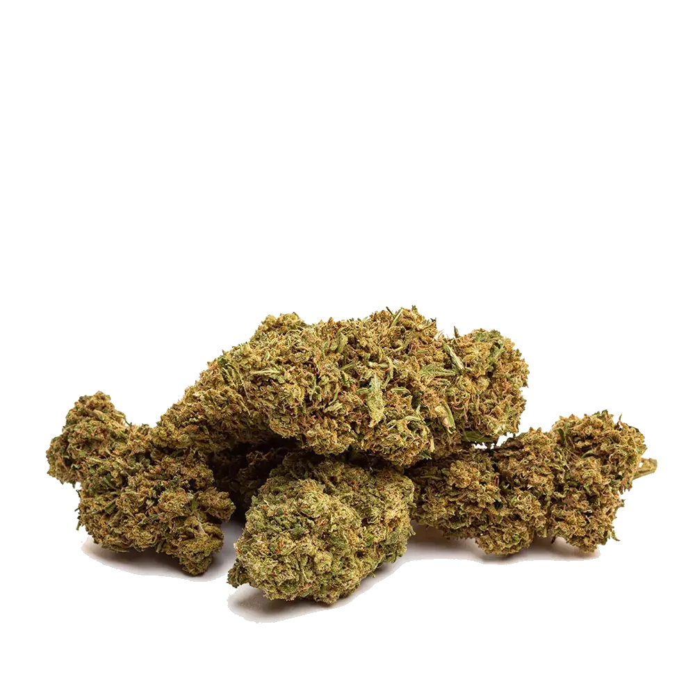 NYC Diesel - miniature 4
