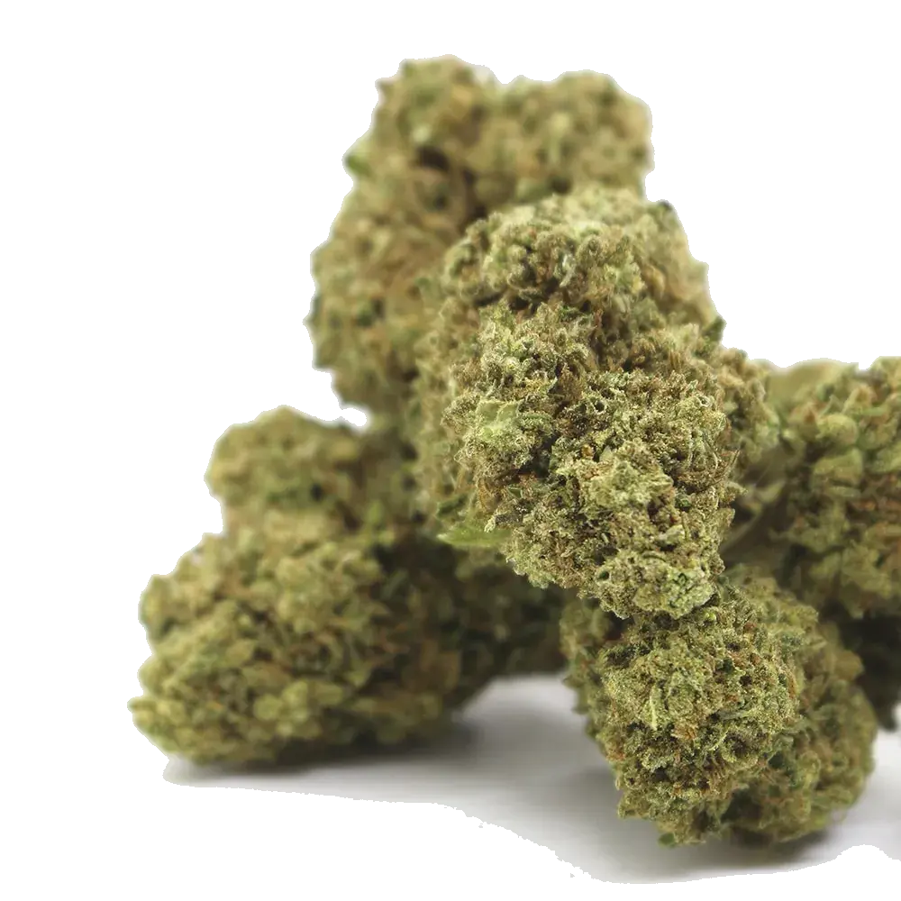 OG Mint - miniature 2