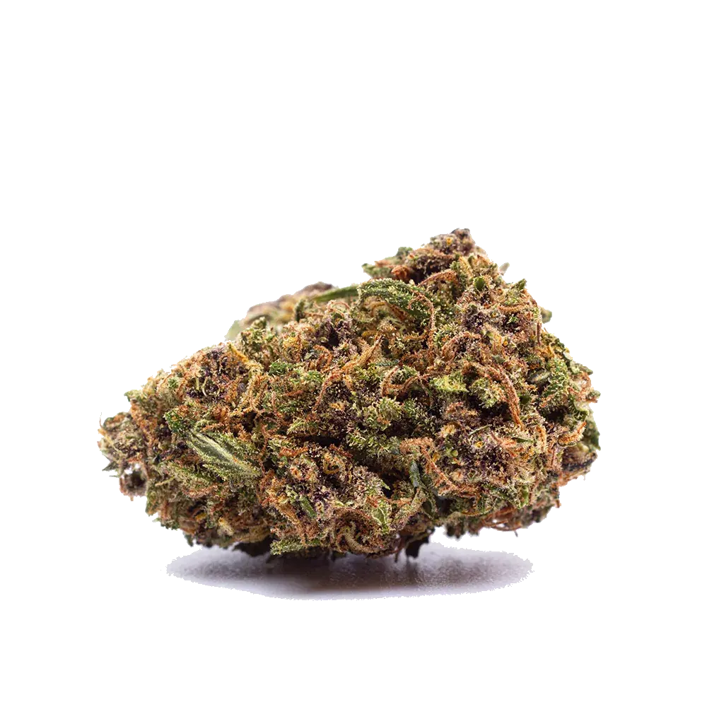 Orange Bud - miniature 2