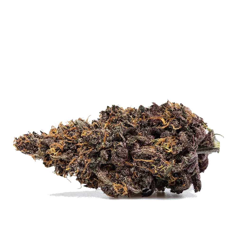 Orange Fritter - miniature 2