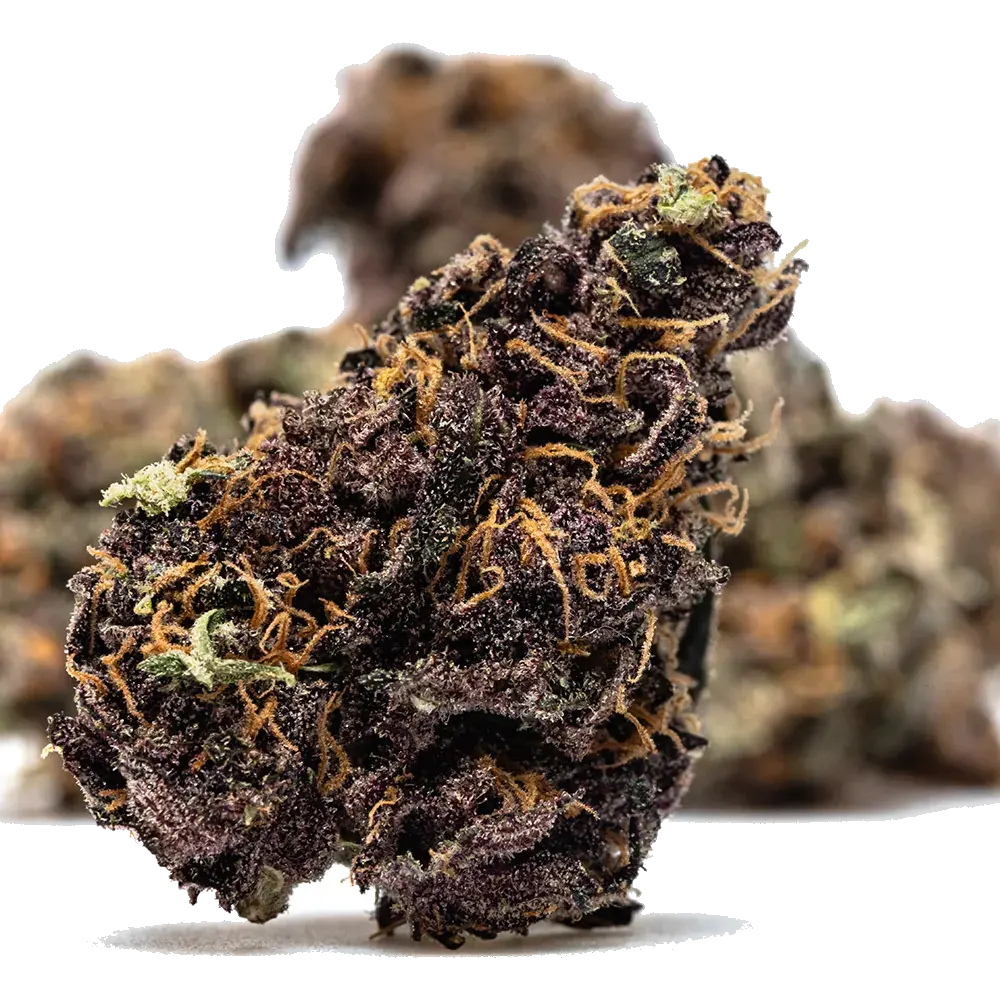 Orange Fritter - miniature 4