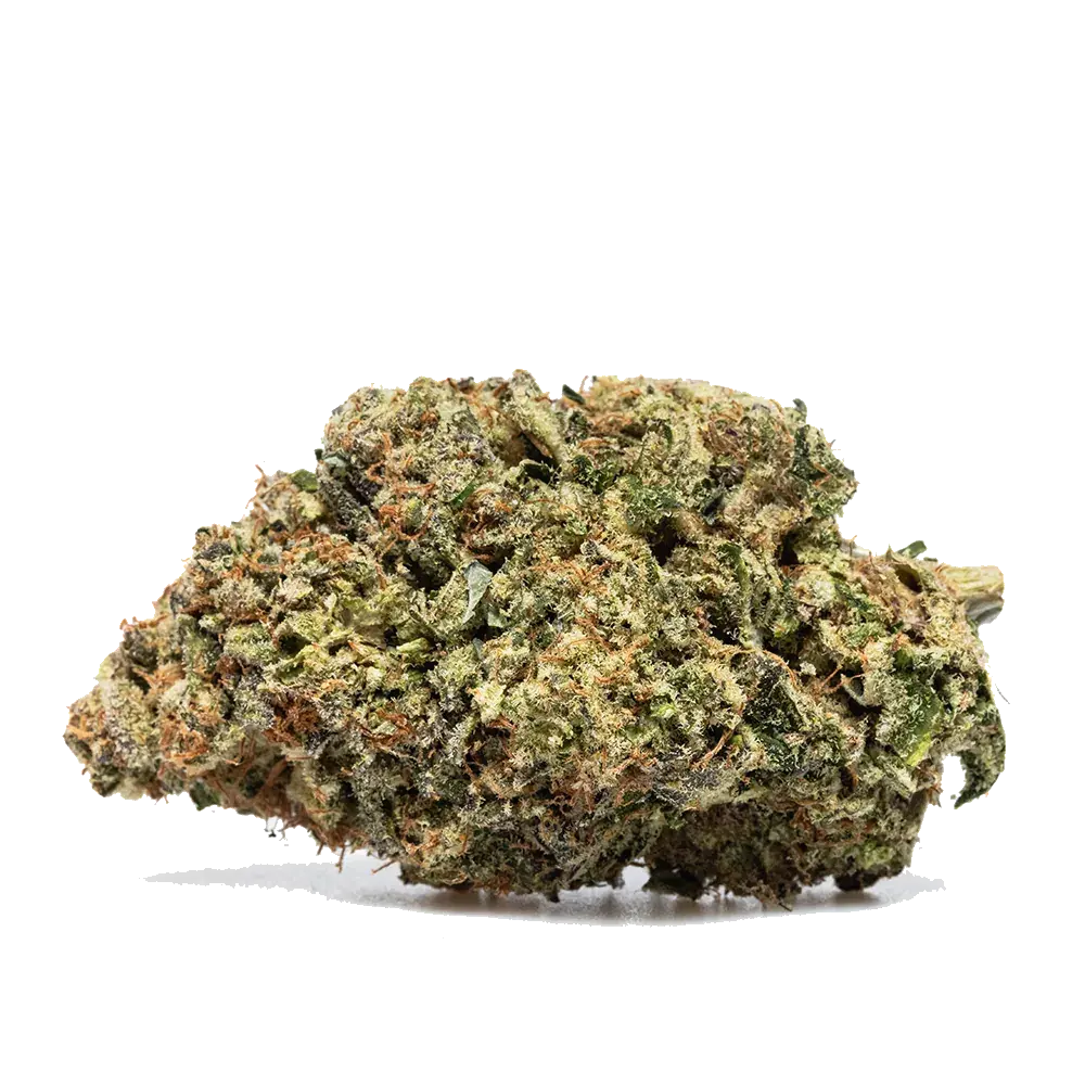Payton's Lemon s1 - miniature 2