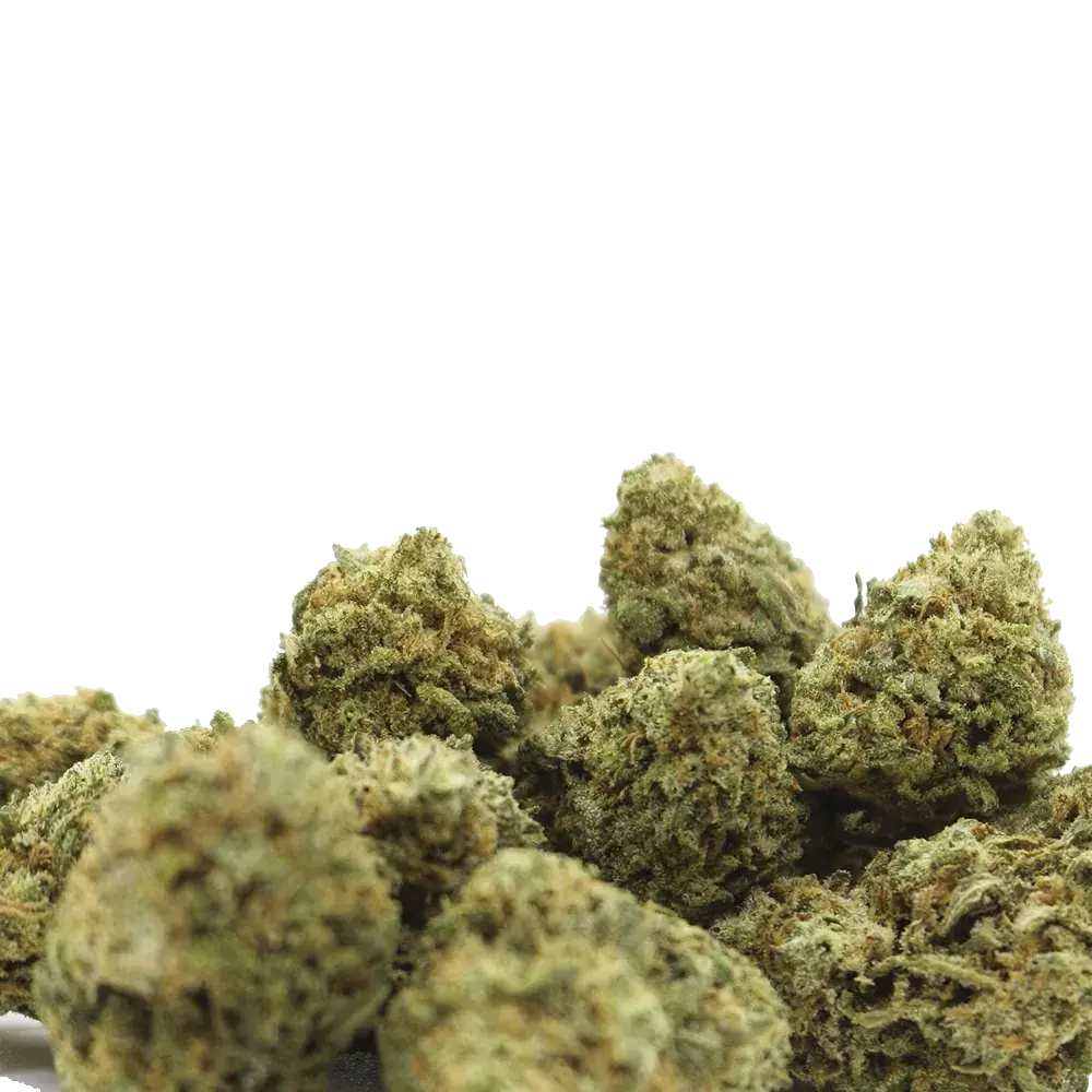 Pineapple Express - miniature 3