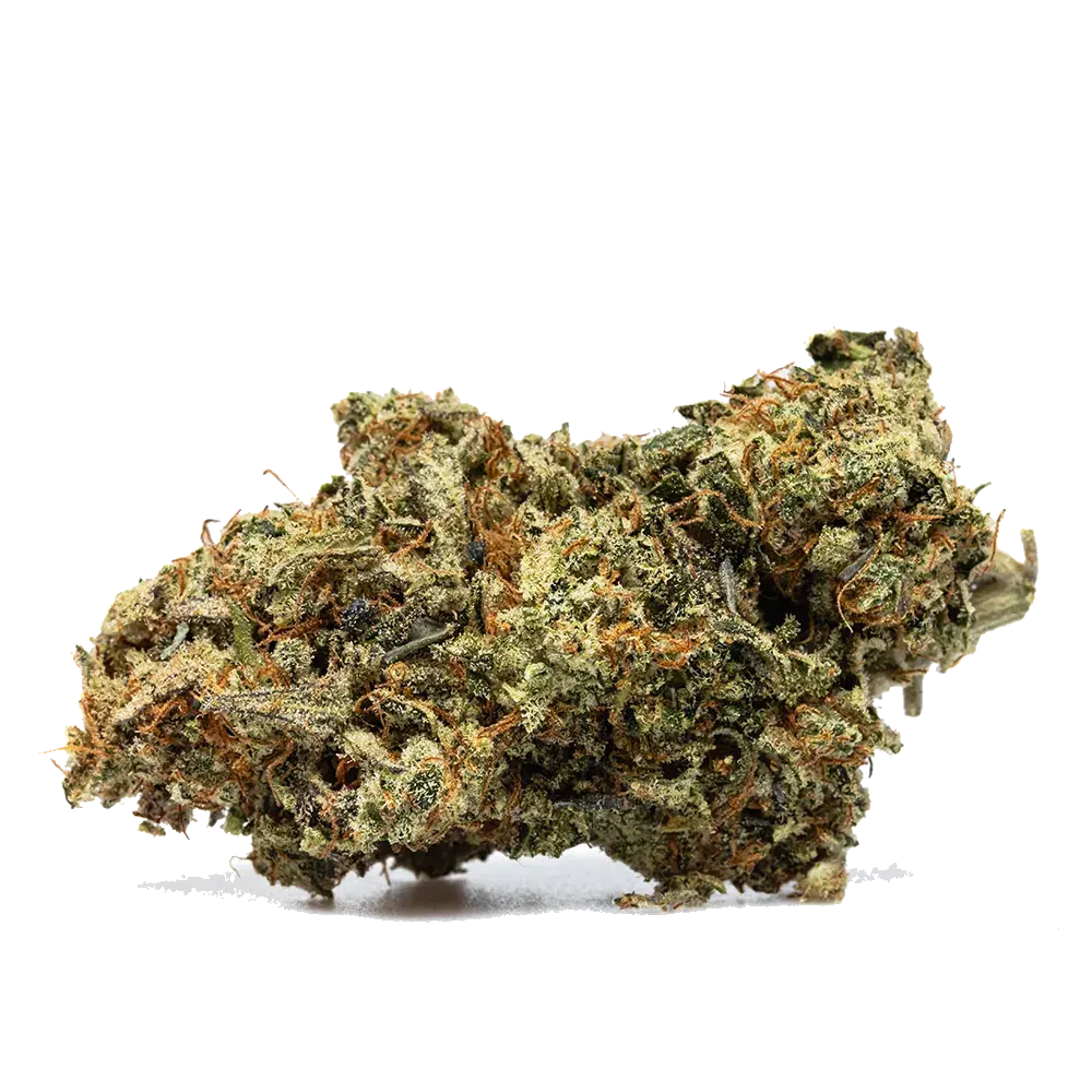 Pineapple Gusher - miniature 2
