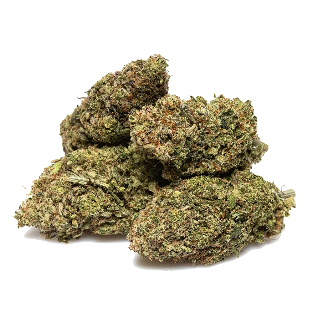 Pineapple Gusher - miniature 3