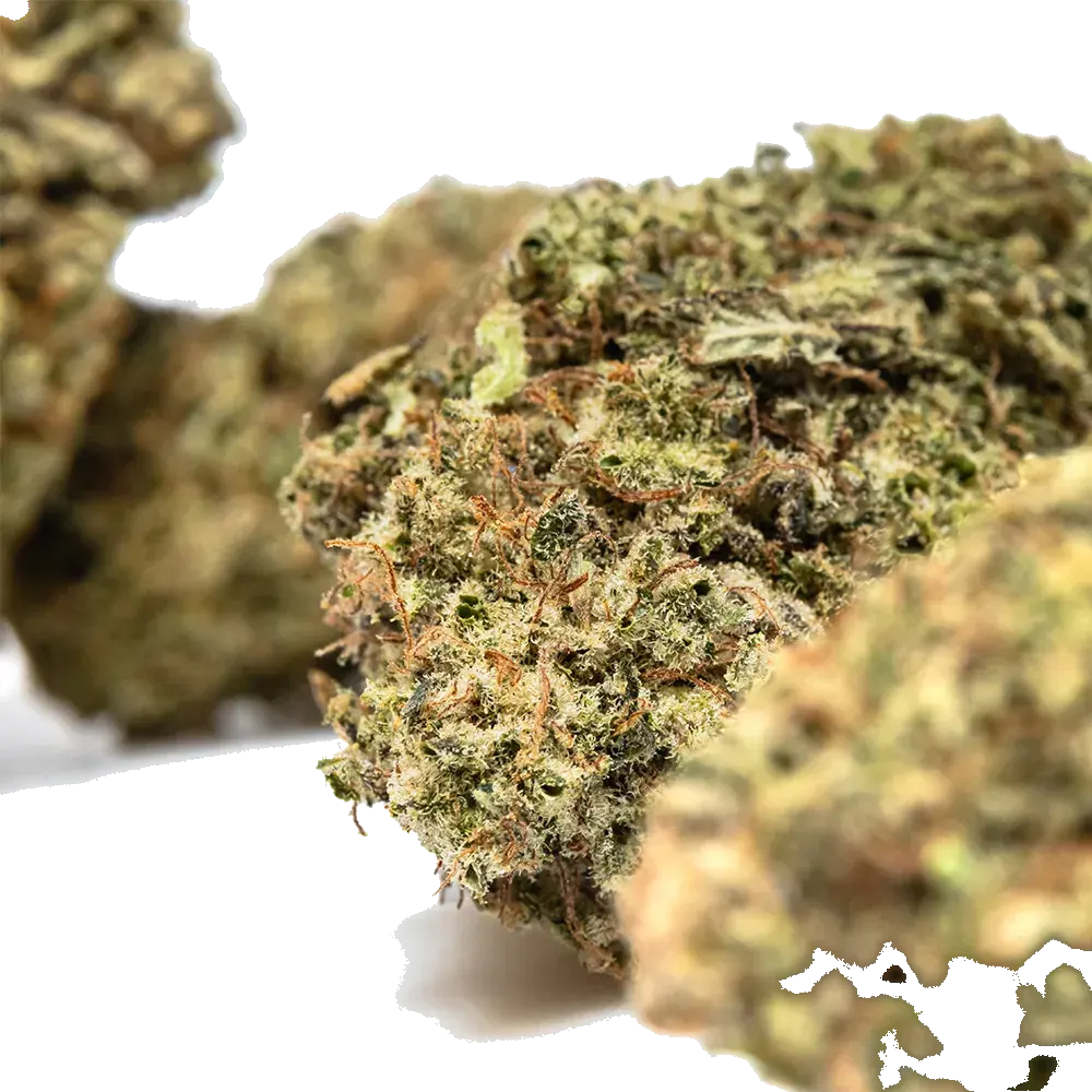 Pineapple Gusher - miniature 4