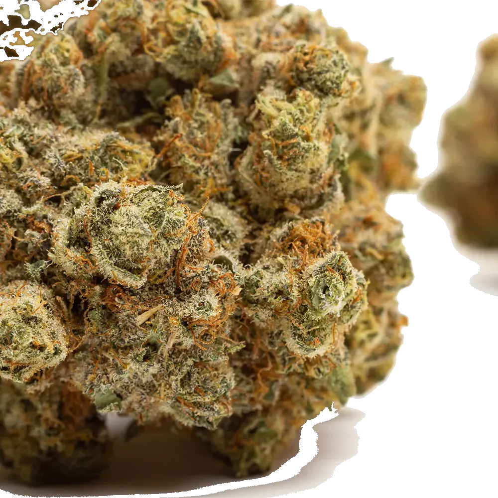 Galactic Gas - miniature 6