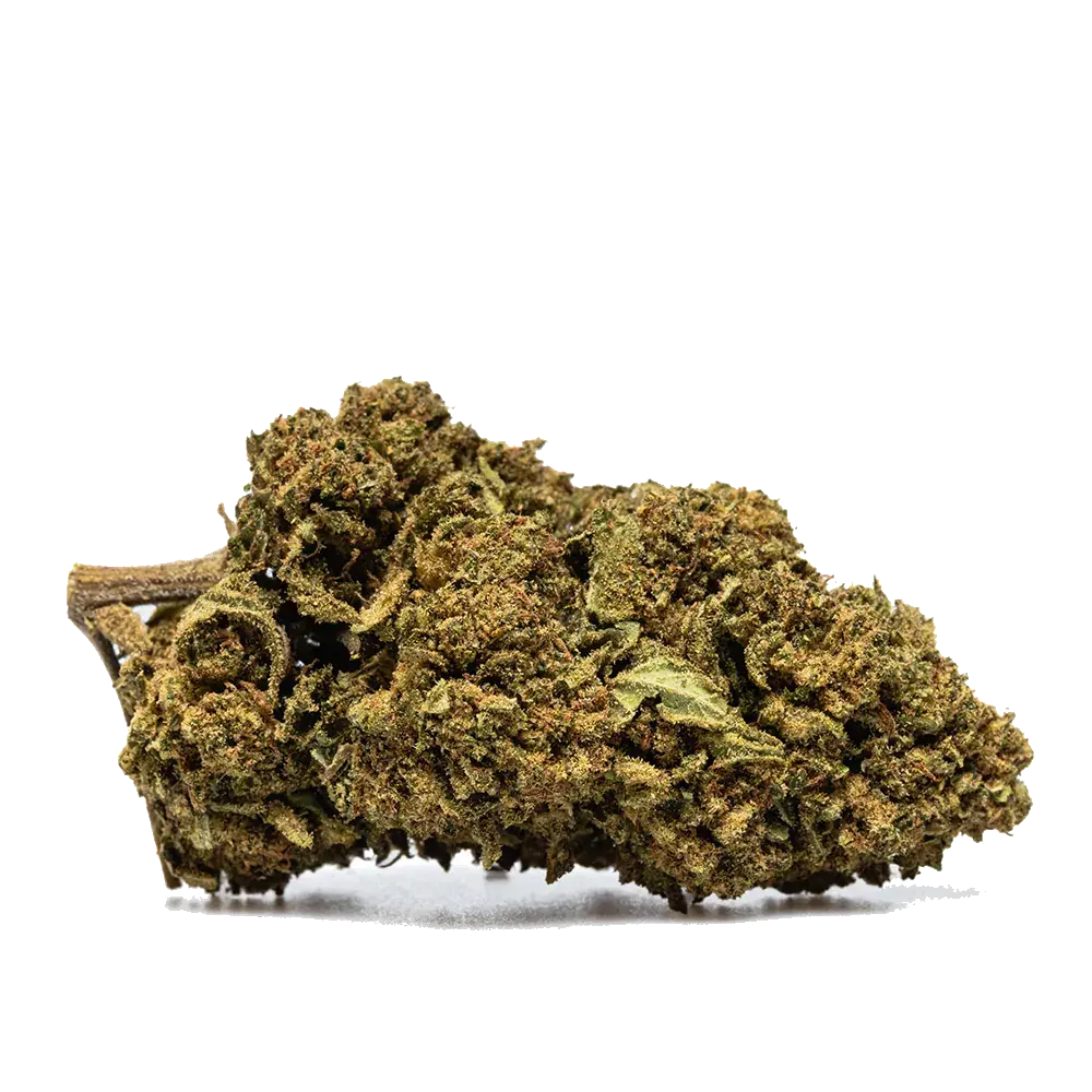 Skywalker Og - miniature 2