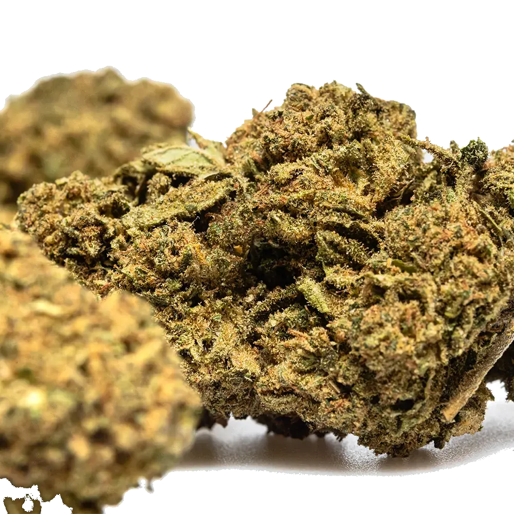Skywalker Og - miniature 4