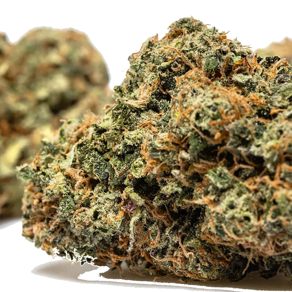 Strawberry Lemon Kush - miniature 4