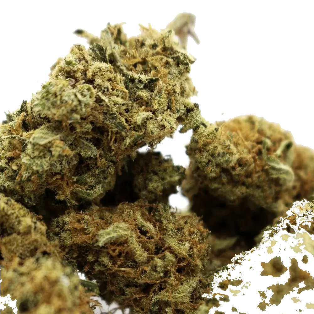 Super Sour Diesel - miniature 3
