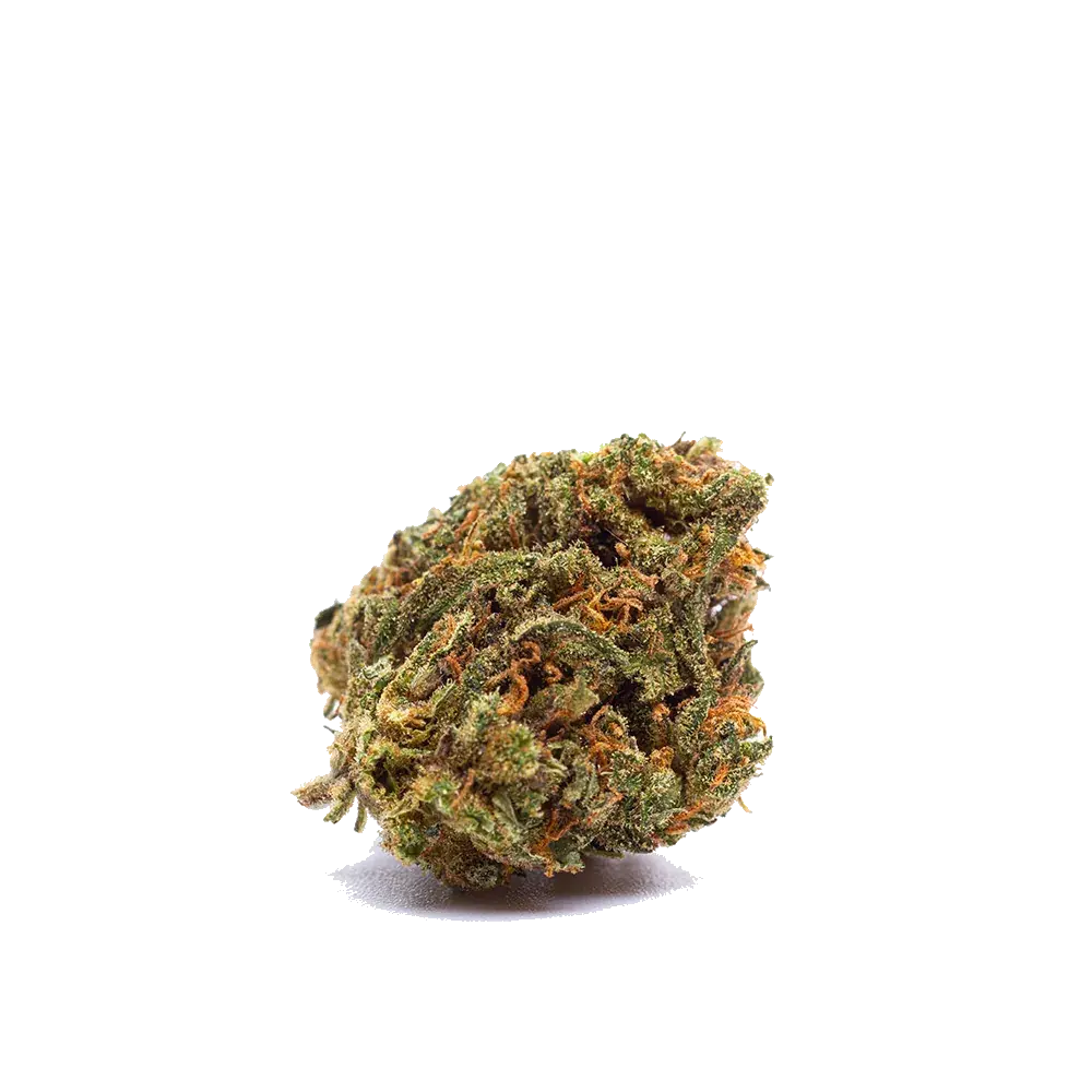 Triple Cheese - miniature 2