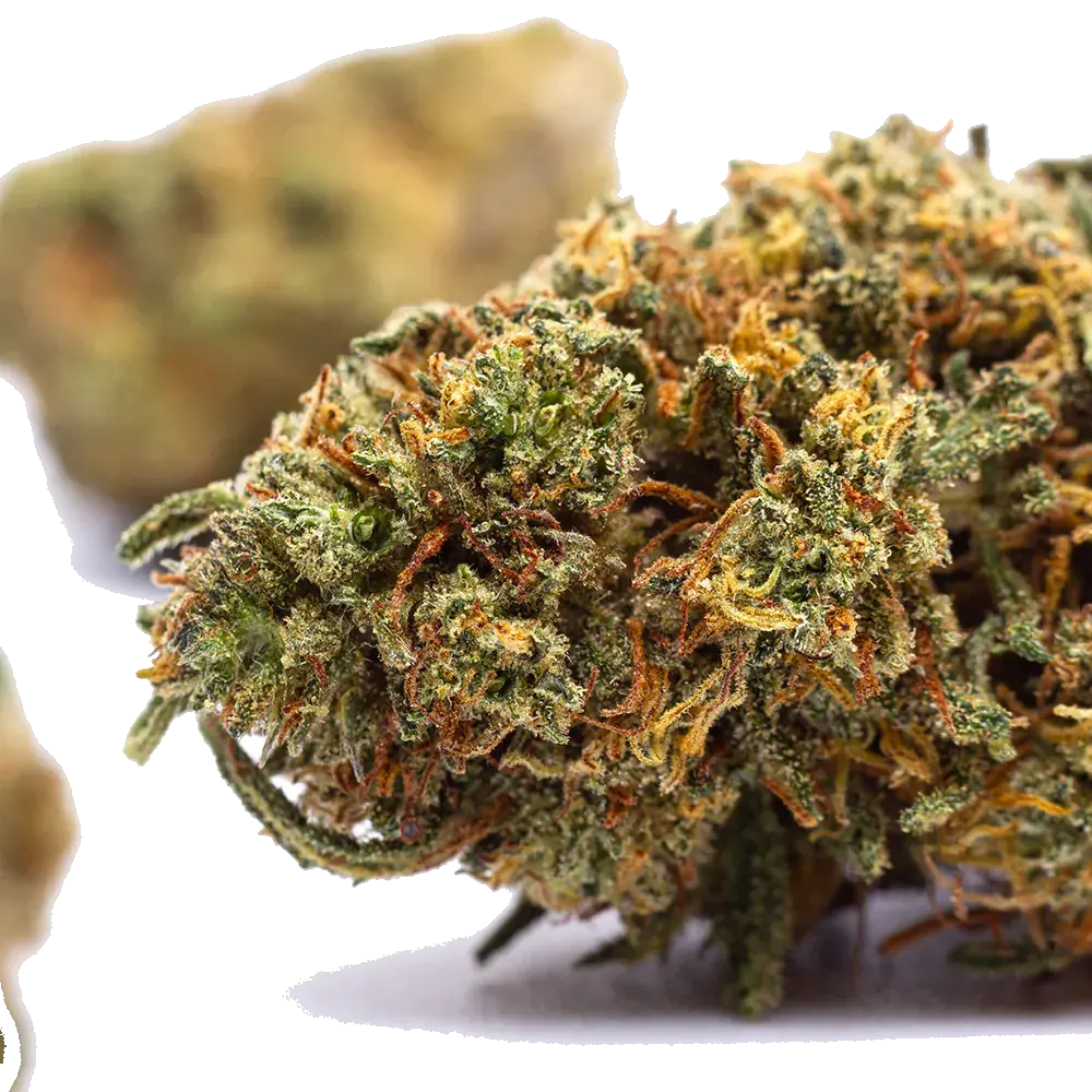 Triple Cheese - miniature 4
