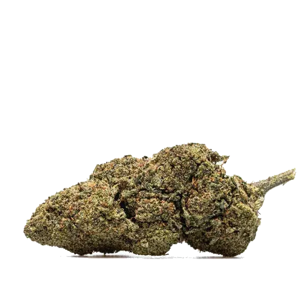 Runtz USA CBD flower head with purple tints, photographed on a light background.
