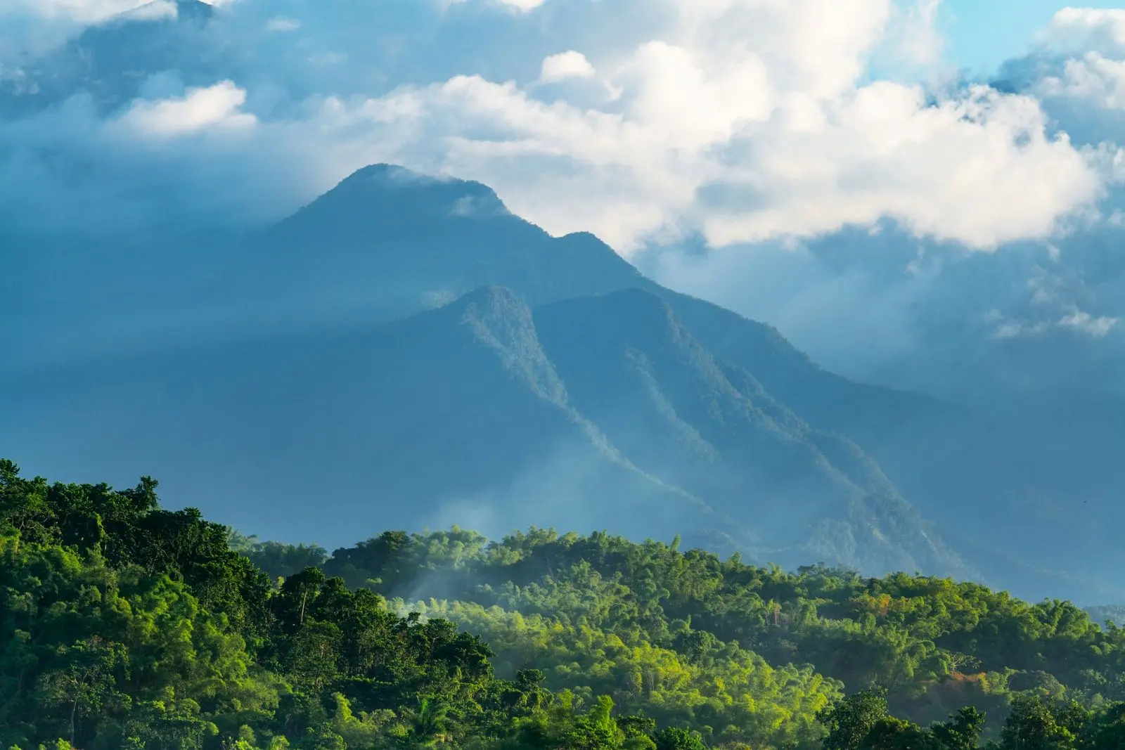 Jamaica's Blue Mountains in the clouds, above hills covered in tropical forest