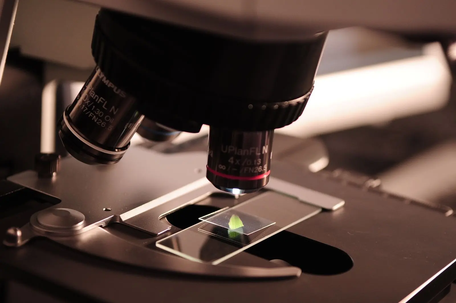 Laboratory microscope objectives above a sample slide