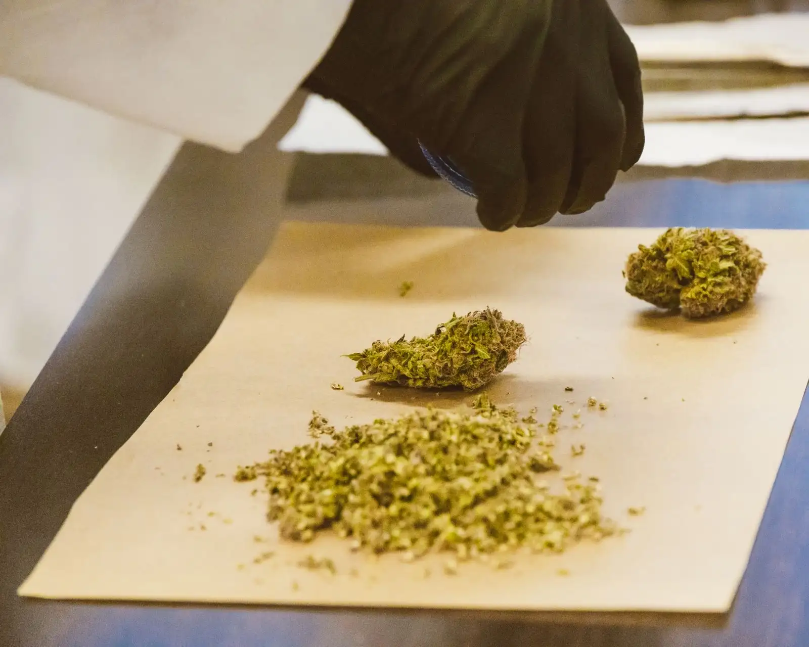 Is CBD hash legal in France? 0.30% THC and three traps